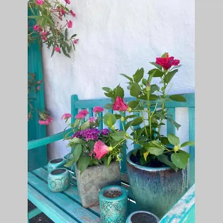 Casa Alegria II Apartment Teguise  Exterior photo