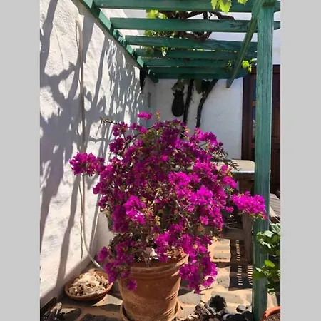 Casa Alegria II Apartment Teguise  Exterior photo