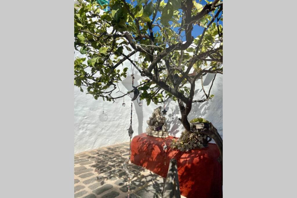 Appartamento Casa Alegria Ii